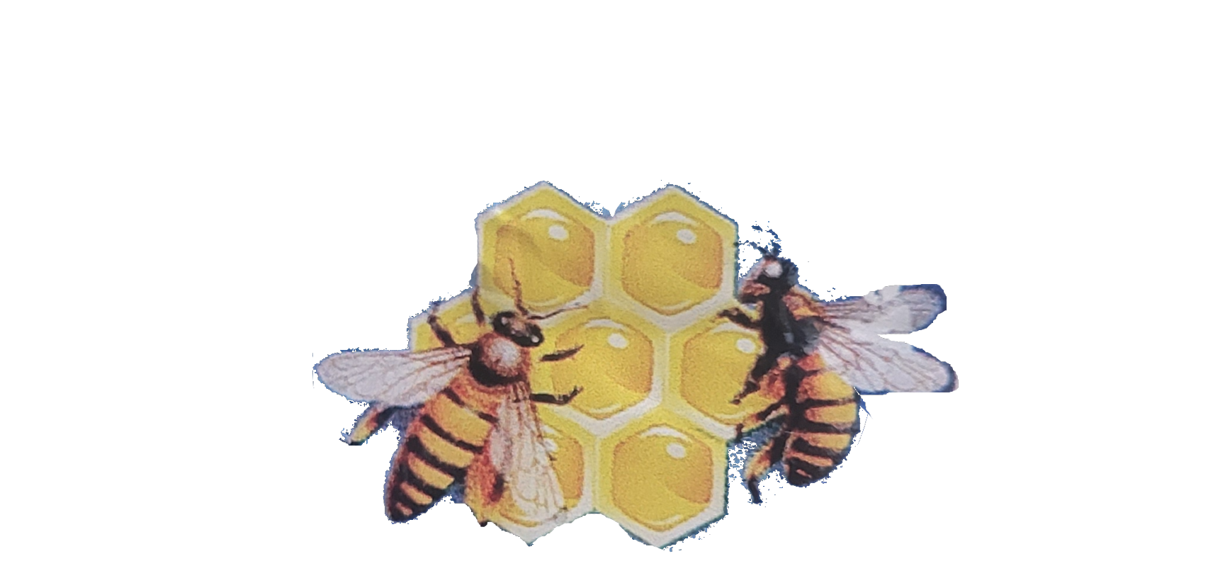 McCormick Honey